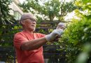 84% of Retirees Take Only the RMD Minimum. Here’s When That’s Smart.